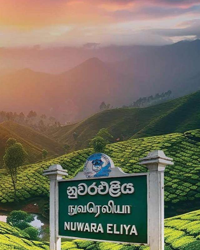 Experience---Nuwaraeliya-02