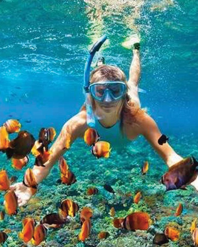 snorkeling
