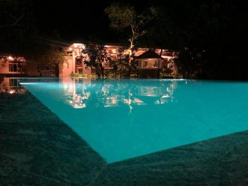 paradisegarden pool